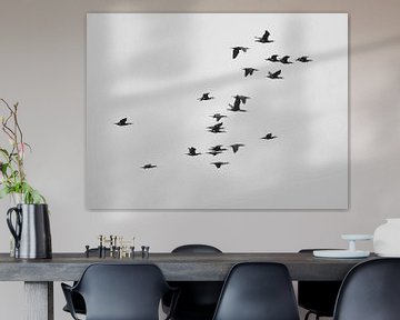 A Flock of Cormorants sur Jörg Hausmann