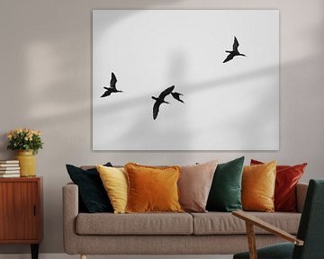 A Flock of Cormorants van Jörg Hausmann