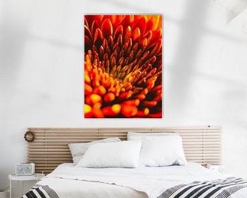 Gerbera Pomponi / Blume / Blütenblätter / Natur / Blendenfleck / Licht / Rot / Orange / Gelb / Weiß  von Art By Dominic