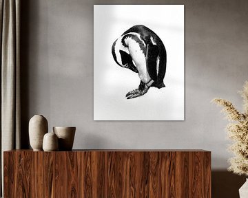 Penguin portrait in black and white - white background by Heleen van de Ven