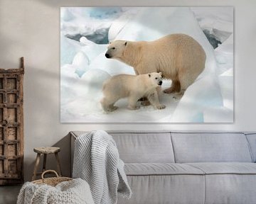 Polar Bear (Ursus maritimus) by AGAMI Photo Agency