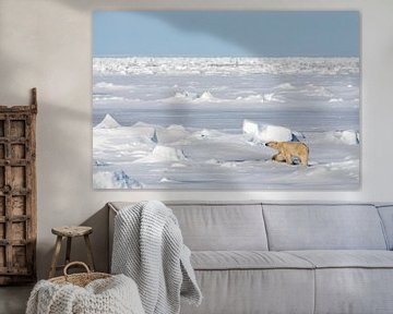 IJsbeer op weids ijslandschap van AGAMI Photo Agency