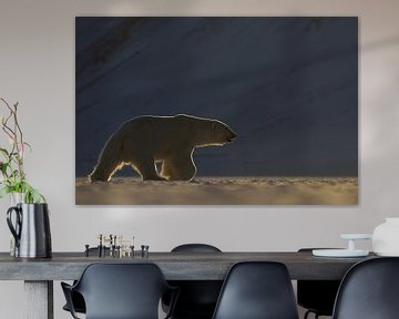 IJsbeer in weids ijslandschap van AGAMI Photo Agency
