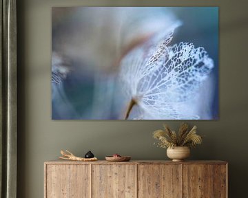 Bladskelet Hortensia | Natuurfotografie van Nanda Bussers