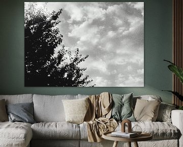 Zwart wit foto bomen en wolken van Danielle Vd wegen
