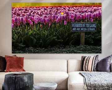 Field of tulips with a 'forbidden access' sign.
