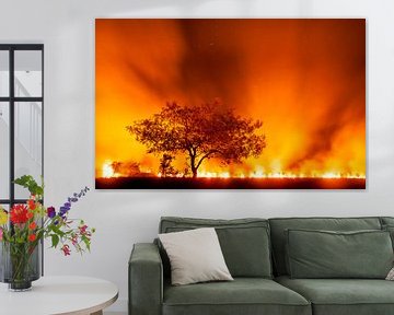 Grasland in brand in de Pantanal