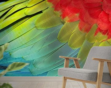  Colourful detail of a Red-and-green Macaw wing by AGAMI Photo Agency