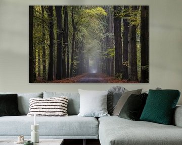 Forest avenue forestry Gieten by Jurjen Veerman