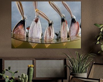 Vissende Kroeskoppelikanen (Pelecanus crispus)  van AGAMI Photo Agency