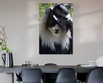 Furry