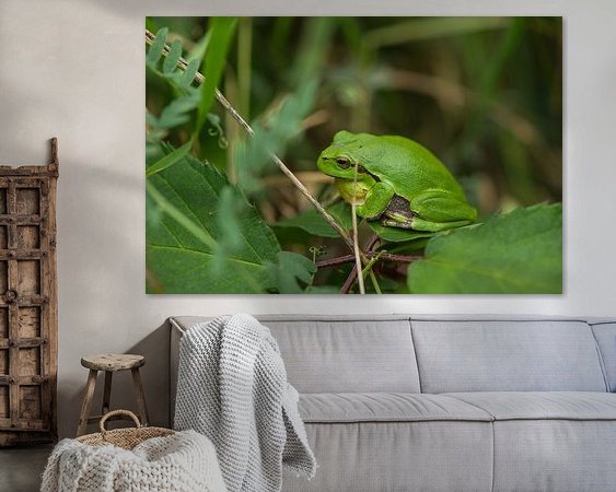 Aperçu de la chambre