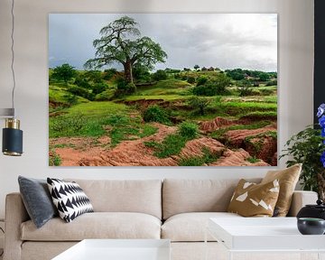 Majestic Baobab by Steven Groothuismink