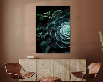 DARKSIDE OF SUCCULENTS V-2 by Pia Schneider