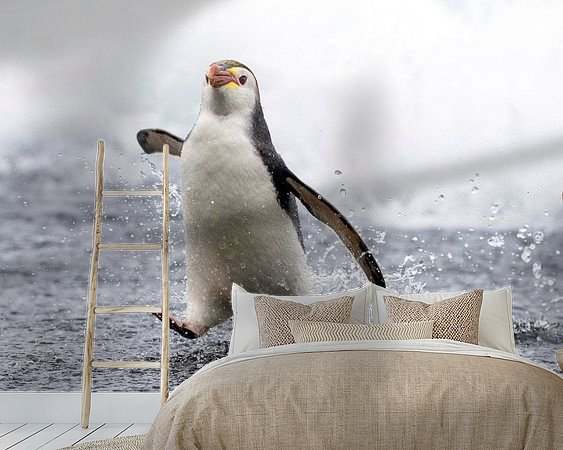 Aperçu de la chambre