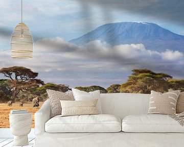 Afrikanische Elefanten am Kilimanjaro von Nature in Stock