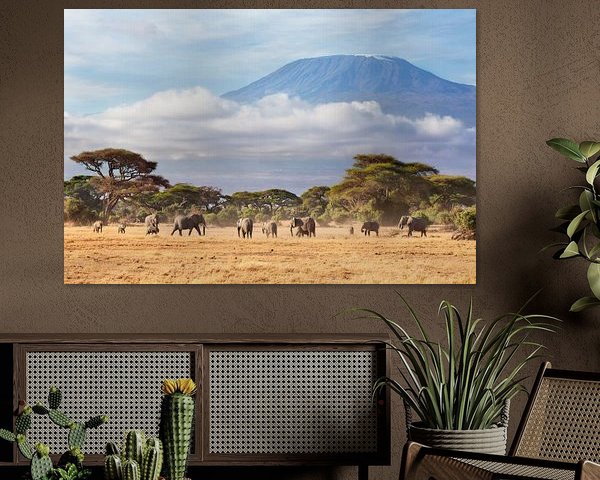 Afrikaanse olifanten (Loxodonta africana) kudde met de Kilimanjaro