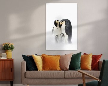 Emperor Penguin (Aptenodytes forsteri) parents with chicks