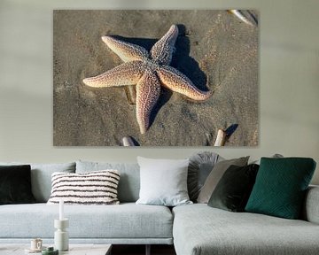 starfish von ton vogels