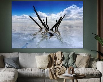 Wadden Meer, die Niederlande. von AGAMI Photo Agency