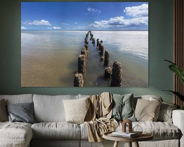 Wadden Meer, die Niederlande. von AGAMI Photo Agency