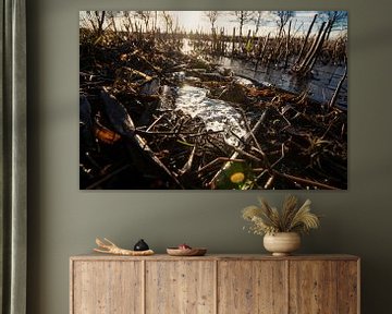 Laag standpunt in landbouw grond met zon flare en ijs van Fotografiecor .nl