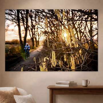 Fleurs de printemps au soleil sur Fotografiecor .nl