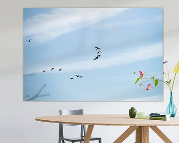 Groep vogels in formatie tegen een blauwe lucht van Fotografiecor .nl