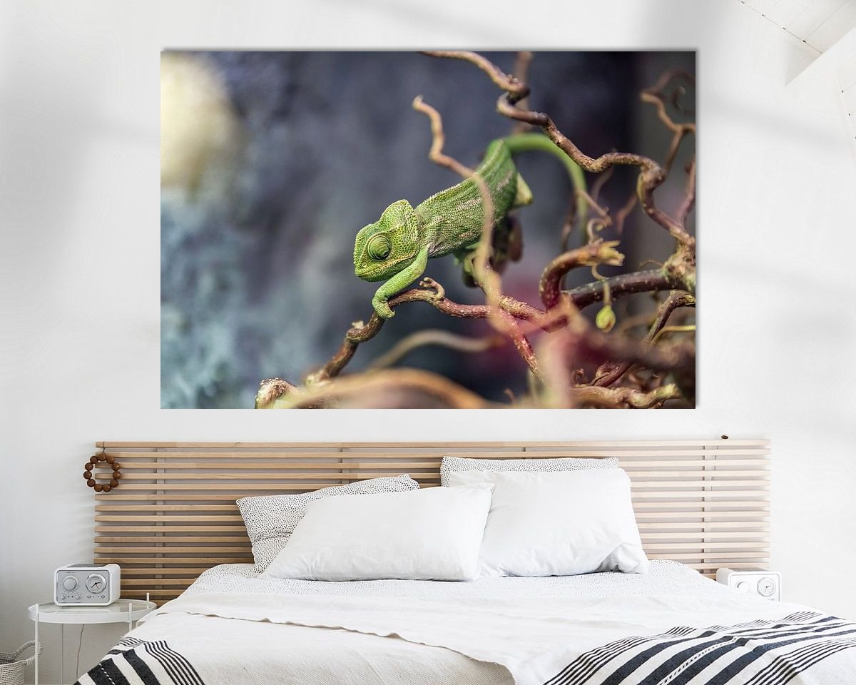 Raumvorschau
