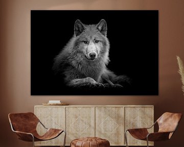 Wolf by Jessica Blokland van Diën