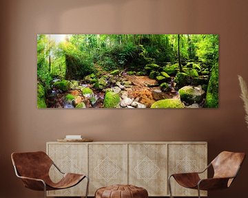 Tropisches Regenwald-Panorama von Dennis van de Water