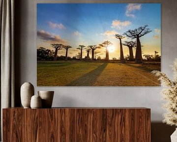 Zonnestralen Baobabs von Dennis van de Water