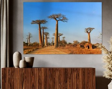Madagaskar Baobab dorp van Dennis van de Water