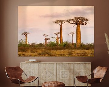 Landschap met Baobabs van Dennis van de Water