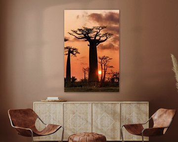 Baobab boom en de zon van Dennis van de Water