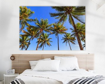 Palmbomen blauwe lucht van Dennis van de Water
