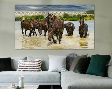 Paarden in het water van Marco Herman Photography