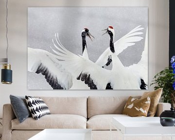 Dansende Chinese Kraanvogels in de sneeuw