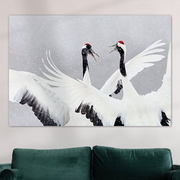 Red-crowned Cranes dancing in the snow