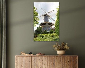 Molen de Windhond