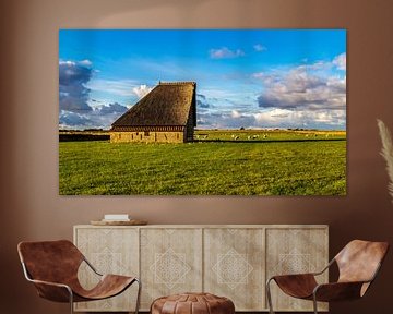 Sheep pen with sheep landscape Texel  by Texel360Fotografie Richard Heerschap