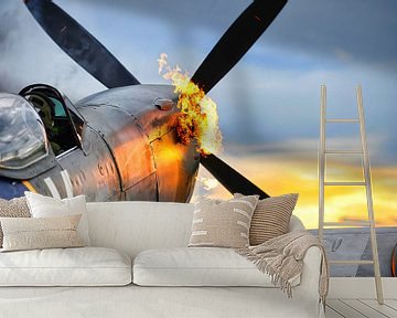 Spitfire mit Flammen von Atelier Liesjes