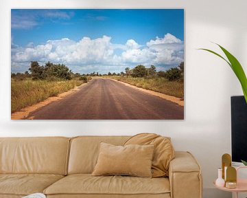 road in the kruger national park in south africa