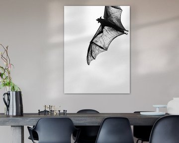 Bat Wings