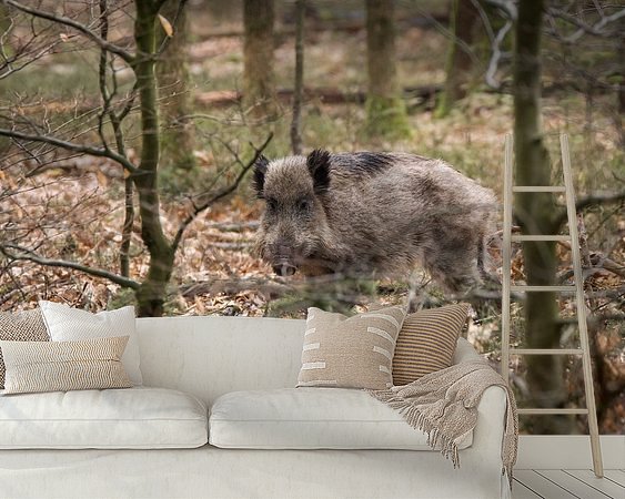 Voorbeeld van het werk in een kamer