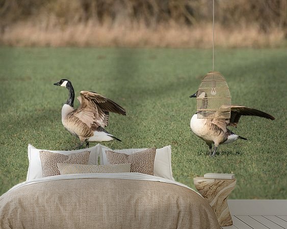 Voorbeeld van het werk in een kamer