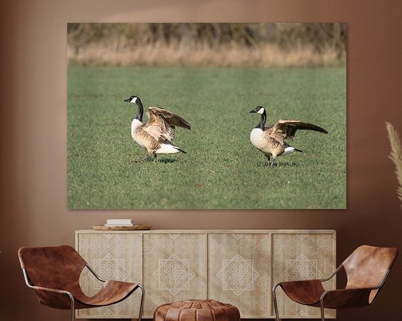 Voorbeeld van het werk in een kamer