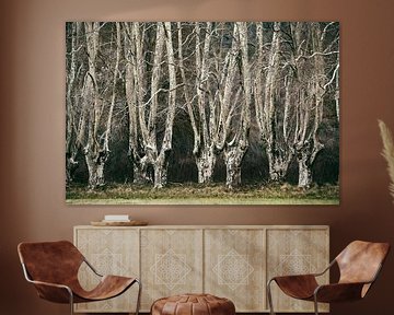 Hidden Forests I by Lars van de Goor