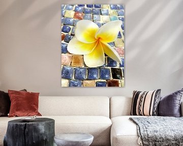 Bloem van een frangipani op een mozaïek gekleurde steentjes (staand) van Susanne Pieren-Canisius