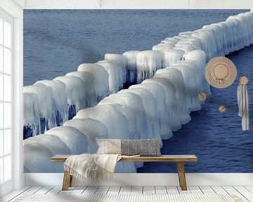 Ice-covered Groins